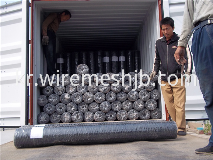 Hexagonal Wire Netting Rolls